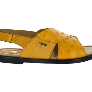 Sandalias Marquez De Leon Sandalia Exotica Caballero M67001 Para Hombre