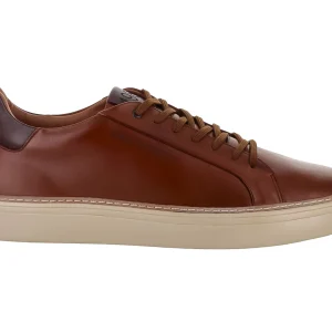 Tenis Gino Cherruti 2800 Para Hombre