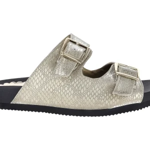 Sandalias Sary Dama 5320 Para Mujer