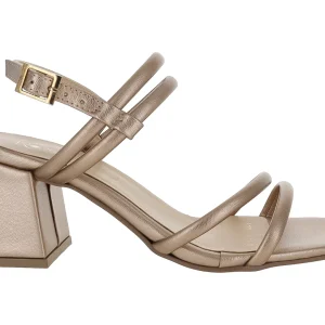 Zapatillas Mirlo Dama 91171 Para Mujer