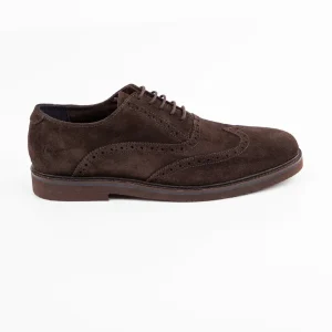Zapato Oxford Ante Marrón