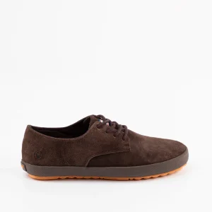 Zapato Derby Ante Chocolate