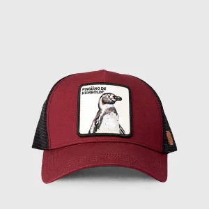 Jockey Pingüino de Humboldt Algodón Orgánico Burgundy