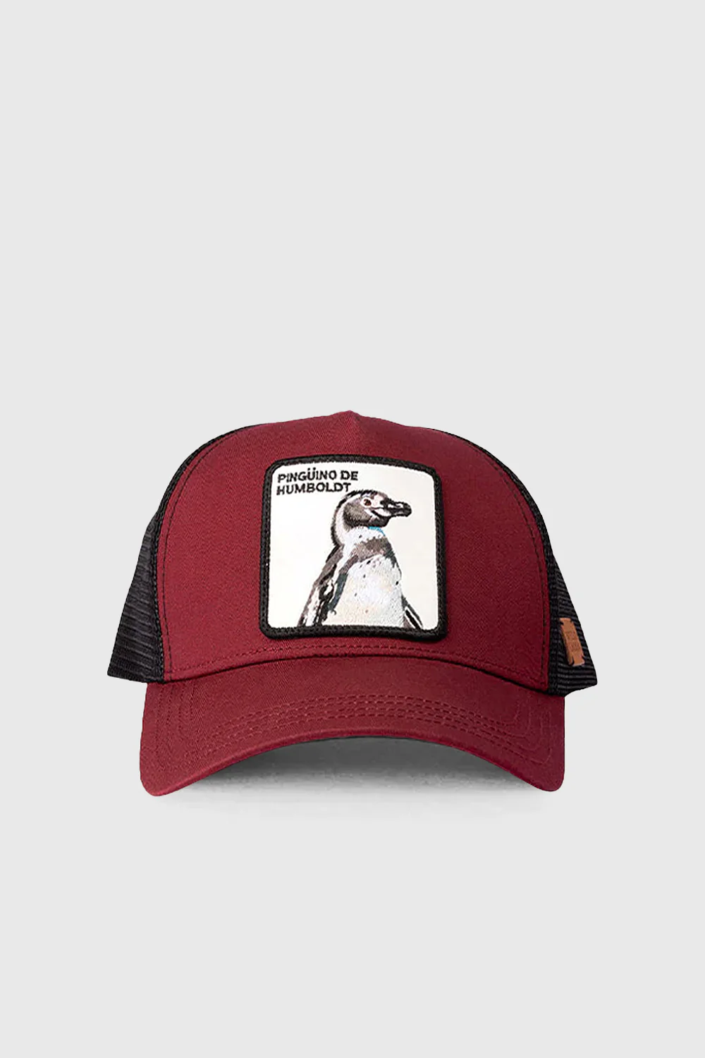 Jockey Pingüino de Humboldt Algodón Orgánico Burgundy