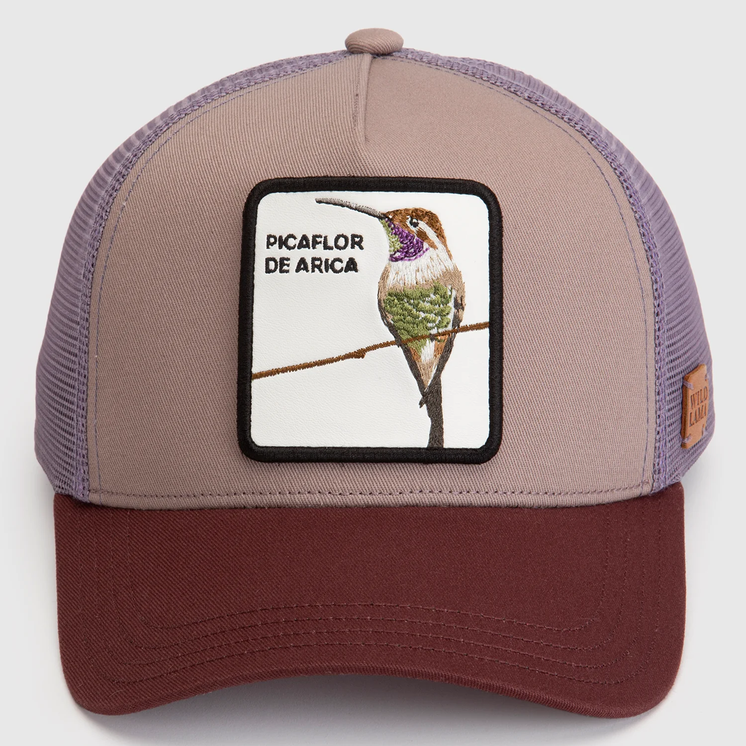 Jockey Picaflor Orgánico Lila - Imagen 5