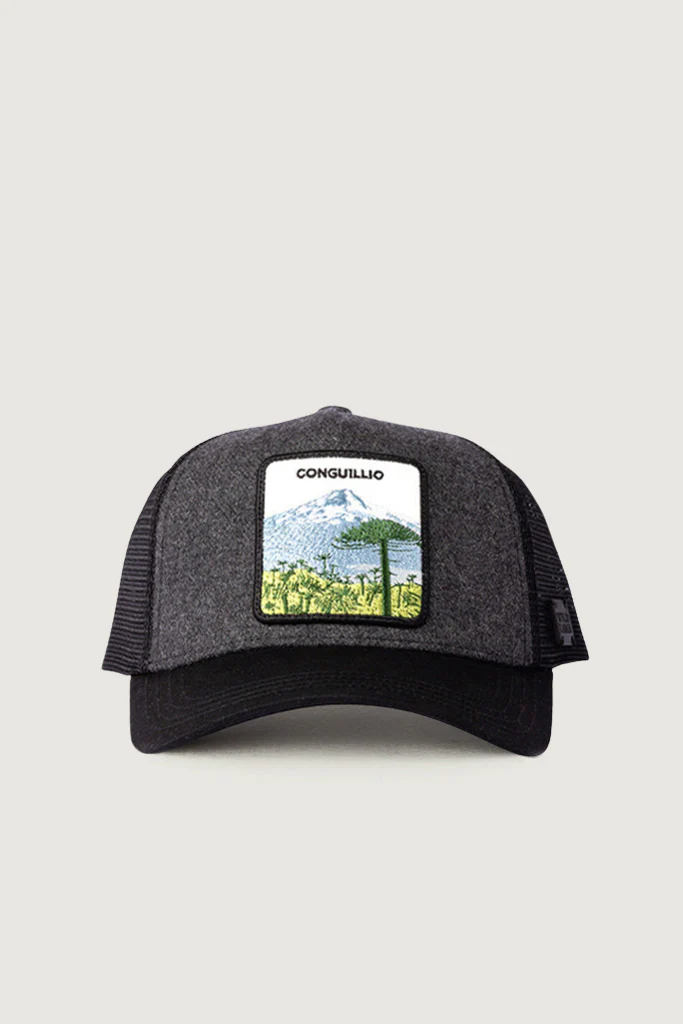 Jockey Conguillio Lana Gris