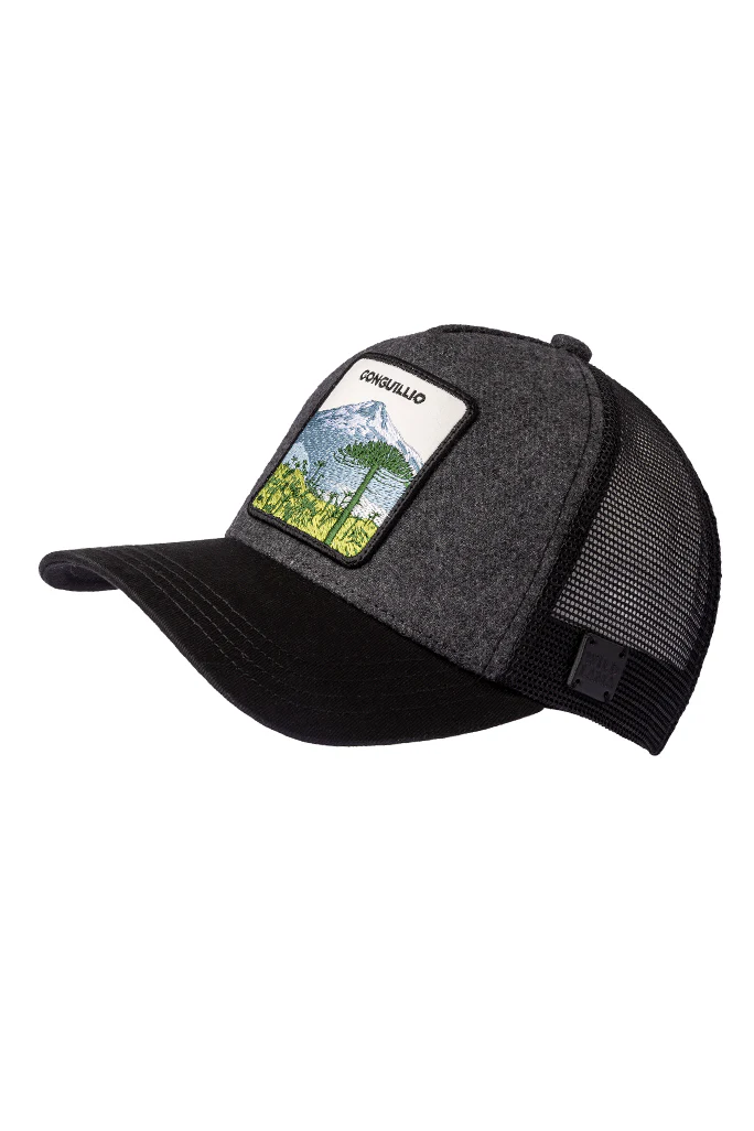 Jockey Conguillio Lana Gris - Imagen 3