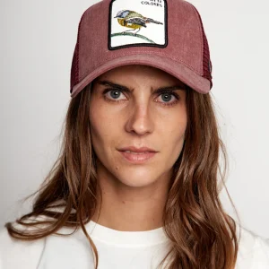 Jockey Siete Colores Orgánico Rosado Lavado