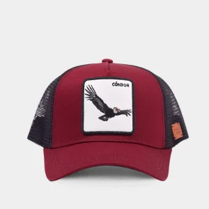 Jockey Cóndor Burdeo Kids