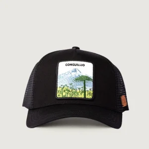 Jockey Conguillio Algodón Orgánico Negro