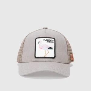 Jockey Flamenco Orgánico Beige Lavado Kids