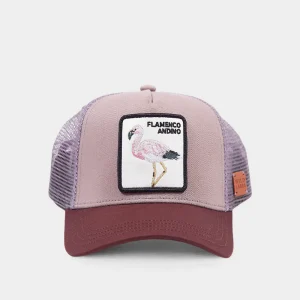 Jockey Flamenco Orgánico Morado Kids