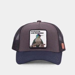 Jockey Picaflor Algodón Orgánico Gris Kids