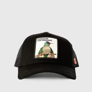 Jockey Picaflor de Juan Fernandez Algodón Orgánico Negro