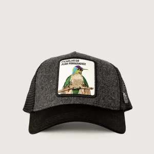 Jockey Picaflor de Juan Fernandez Lana Gris Oscuro