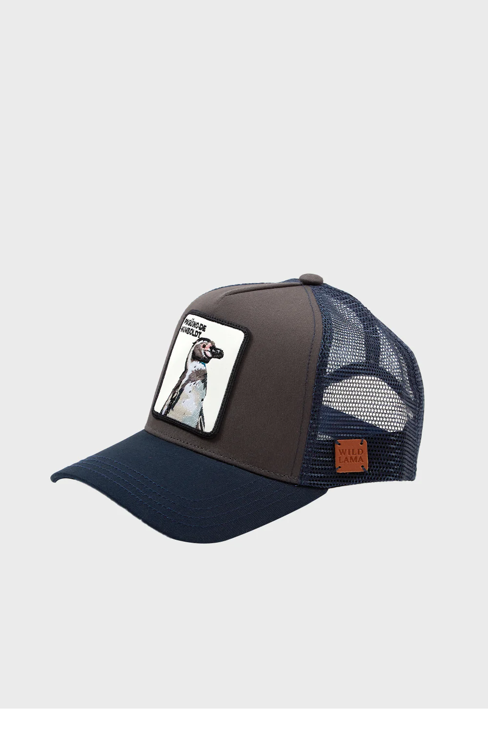 Jockey Pingüino Orgánico Gris - Imagen 3