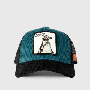 Jockey Pingüino de Humboldt Cotelé Petróleo