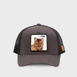 Jockey Puma Orgánico Gris Kids