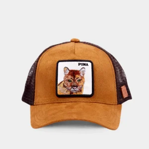 Jockey Puma Con Causa Gamuza Café Kids