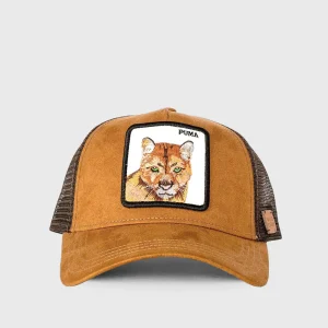 Jockey Puma Con Causa Gamuza Café