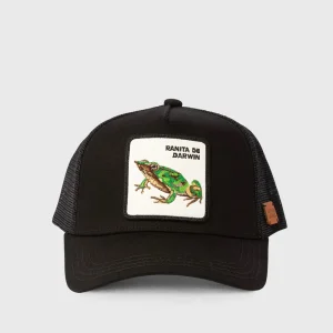 Jockey Ranita de Darwin Orgánico Negro Kids