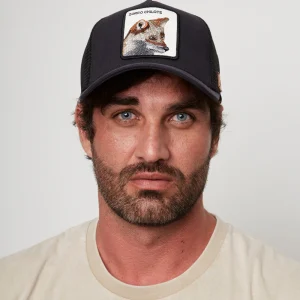 Jockey Zorro Chilote Orgánico Azul Marino Espiga