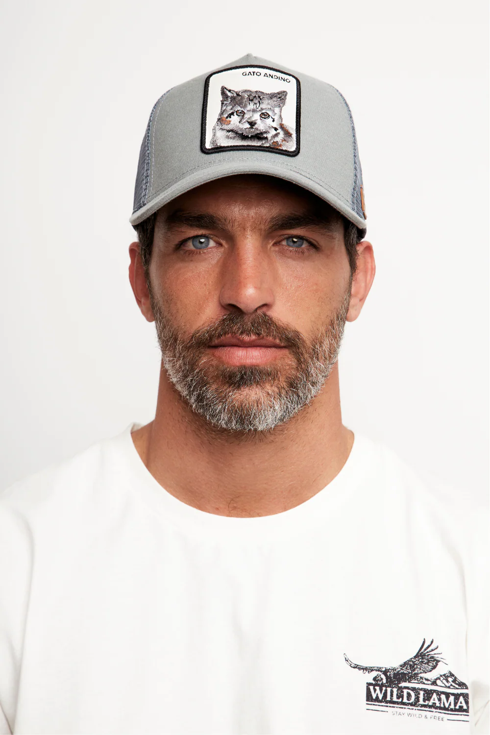 Jockey Gato Andino Fibra de Origen Natural Aqua Lino - Imagen 4