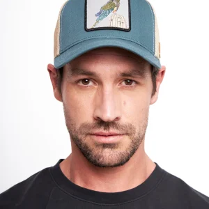 Jockey Loro Tricahue Orgánico Petróleo