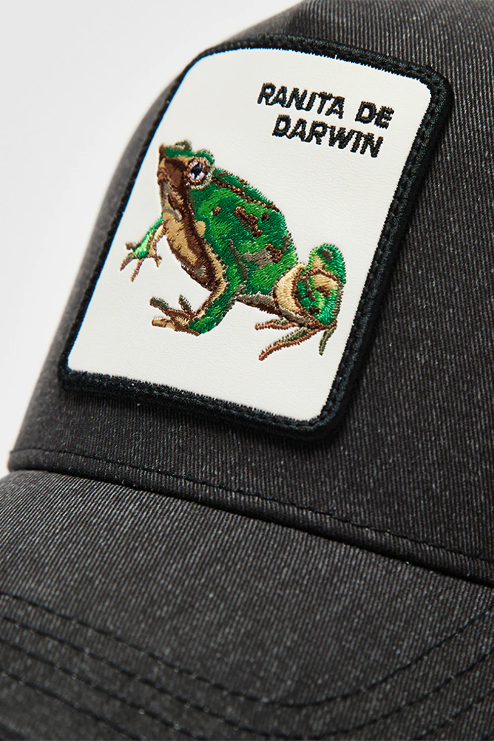 Jockey Ranita de Darwin Negro Lavado - Imagen 8