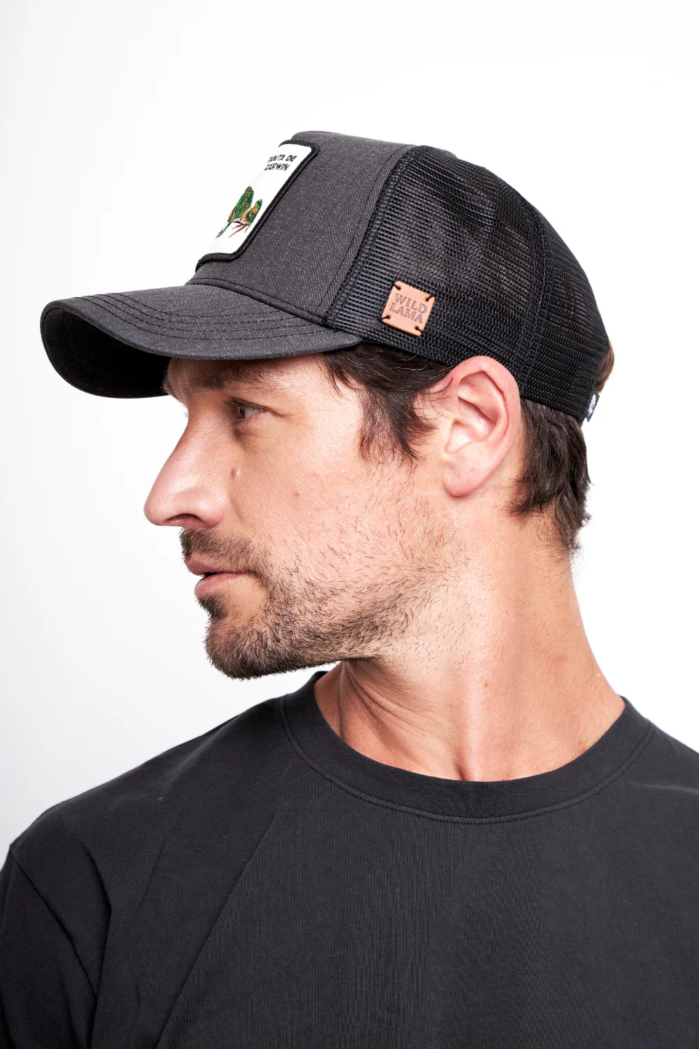 Jockey Ranita de Darwin Negro Lavado - Imagen 3