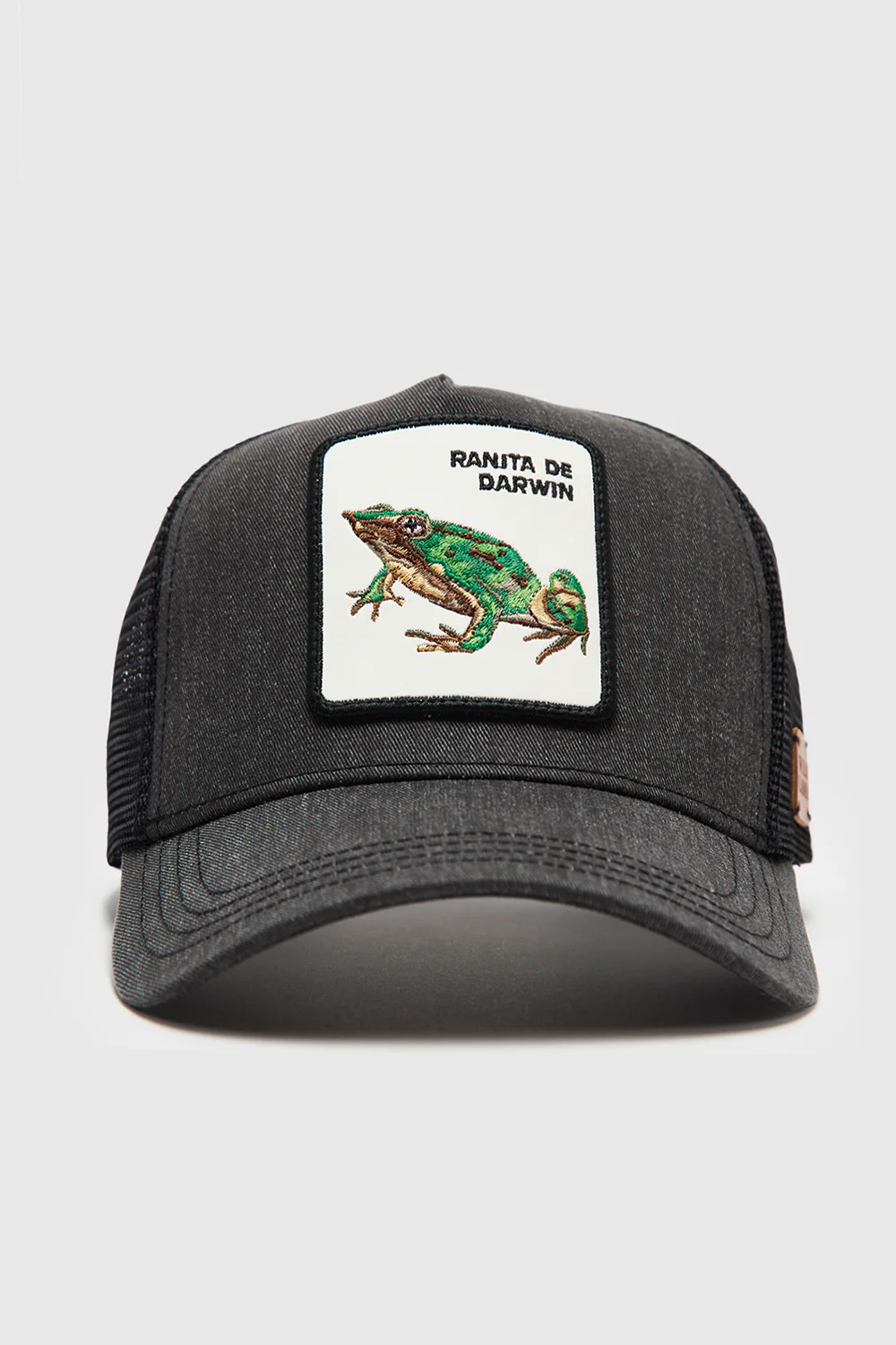 Jockey Ranita de Darwin Negro Lavado - Imagen 5