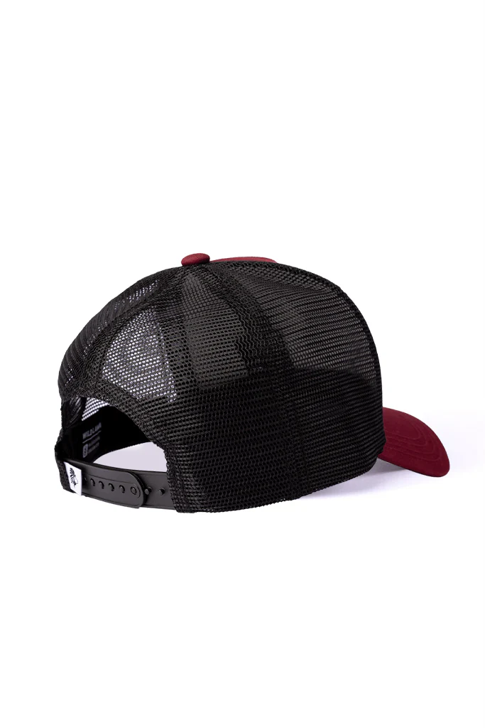 Jockey Pingüino de Humboldt Algodón Orgánico Burgundy - Imagen 3