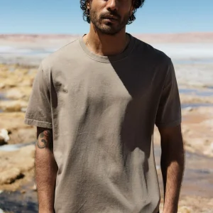 Polera Bat Orgánica Café Hombre