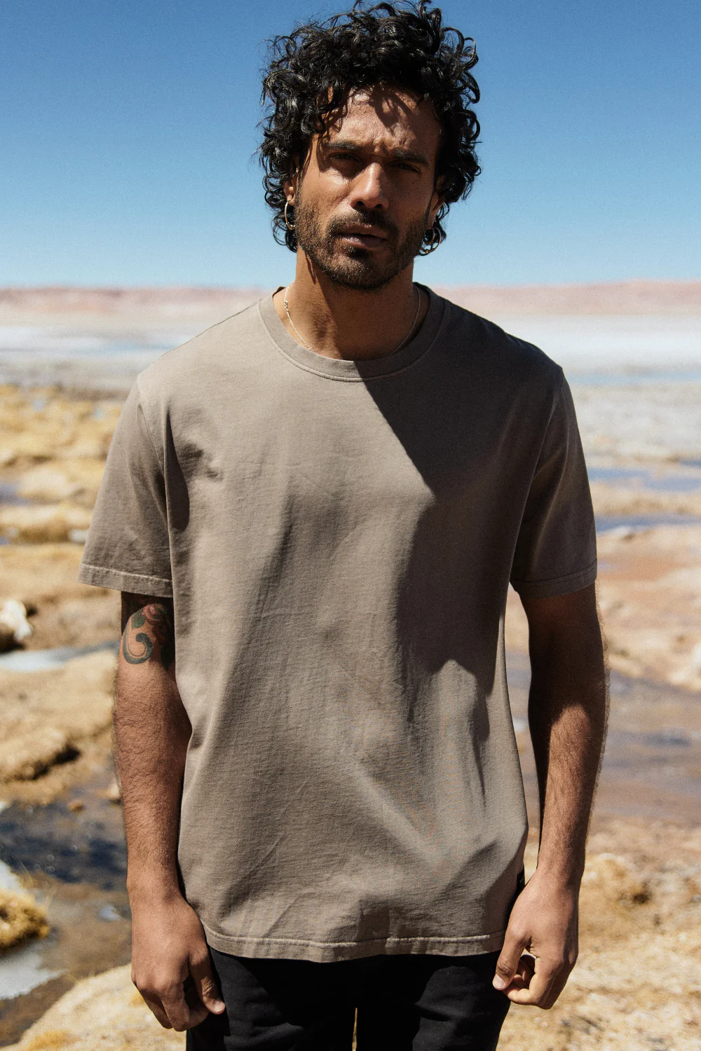 Polera Bat Orgánica Café Hombre