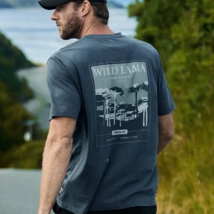 Polera Karu Orgánica Gris Hombre