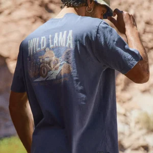 Polera Rolan Orgánica Azul hombre