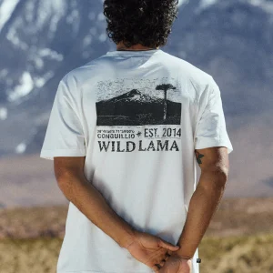 Polera Rolan Orgánica Blanca Hombre