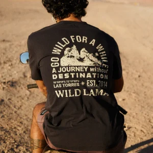 Polera Rolan Orgánica Negra Hombre