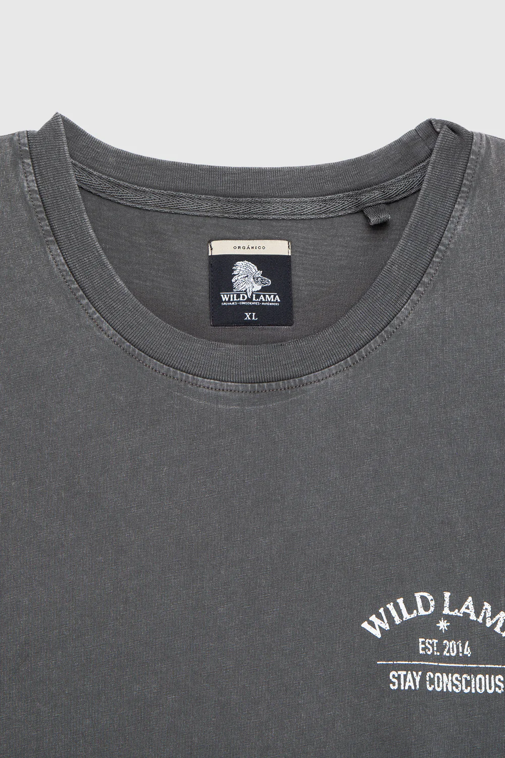 Polera Soles Orgánica Gris Hombre - Imagen 6