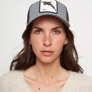 Jockey Orca Con Causa Azul Marino